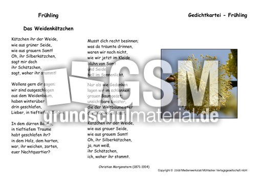 Weidenkaetzchen-Morgenstern.pdf